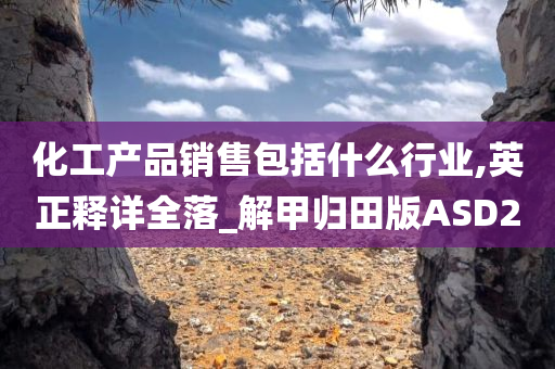 化工产品销售包括什么行业,英正释详全落_解甲归田版ASD2今晚必出三肖2025_2025新澳门精准免费提供·精确判断
