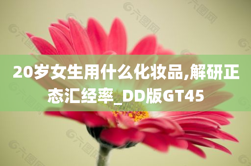 20岁女生用什么化妆品,解研正态汇经率_DD版GT45