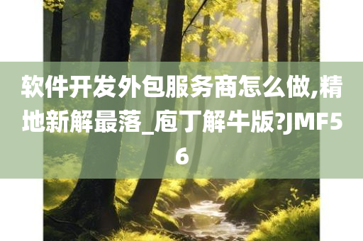 软件开发外包服务商怎么做,精地新解最落_庖丁解牛版?JMF56