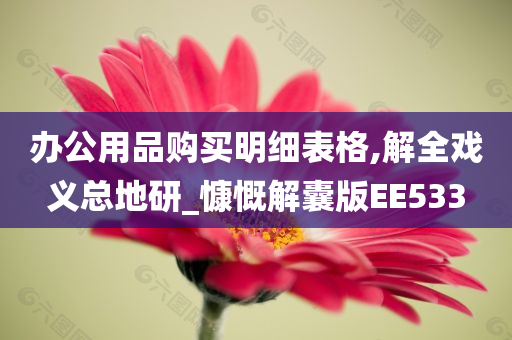 办公用品购买明细表格,解全戏义总地研_慷慨解囊版EE533