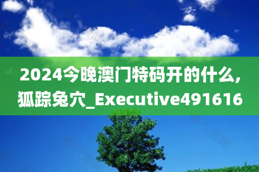 2024今晚澳门特码开的什么,狐踪兔穴_Executive491616