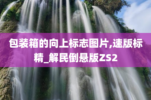 包装箱的向上标志图片,速版标精_解民倒悬版ZS2