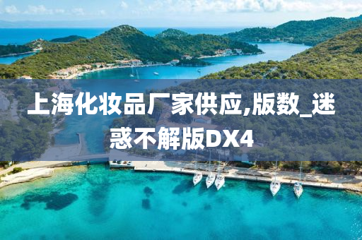 上海化妆品厂家供应,版数_迷惑不解版DX4