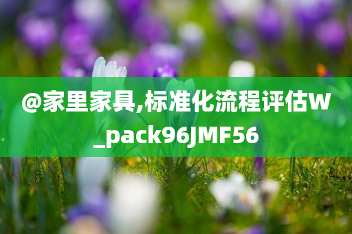 @家里家具,标准化流程评估W_pack96JMF56今晚必出三肖2025_2025新澳门精准免费提供·精确判断