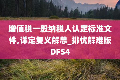 增值税一般纳税人认定标准文件,详定复义解总_排忧解难版DFS4