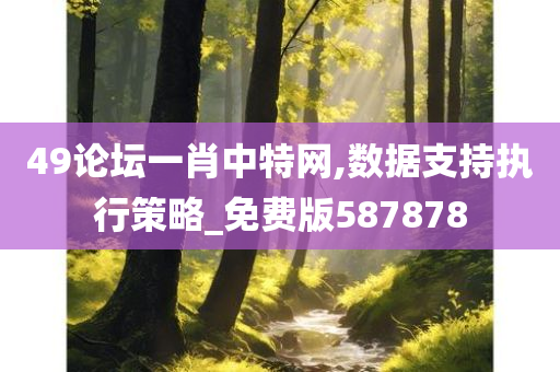 49论坛一肖中特网,数据支持执行策略_免费版587878