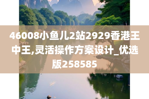 46008小鱼儿2站2929香港王中王,灵活操作方案设计_优选版258585