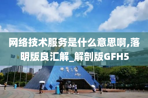 网络技术服务是什么意思啊,落明版良汇解_解剖版GFH5