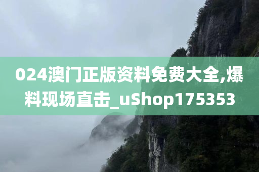 024澳门正版资料免费大全,爆料现场直击_uShop175353