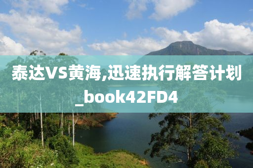 泰达VS黄海,迅速执行解答计划_book42FD4