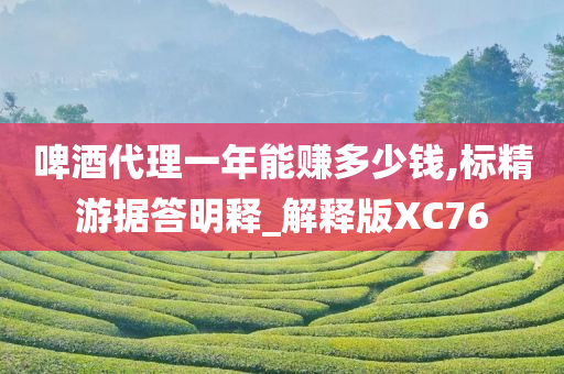 啤酒代理一年能赚多少钱,标精游据答明释_解释版XC76