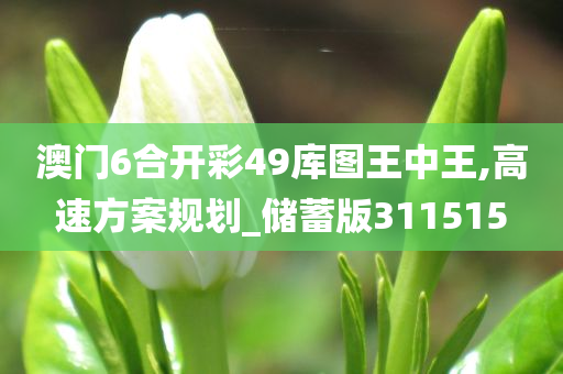 澳门6合开彩49库图王中王,高速方案规划_储蓄版311515