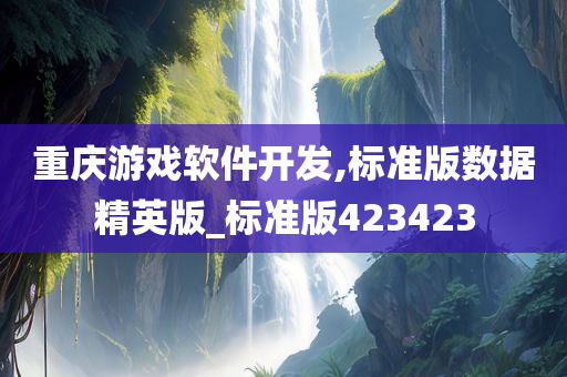 重庆游戏软件开发,标准版数据精英版_标准版423423