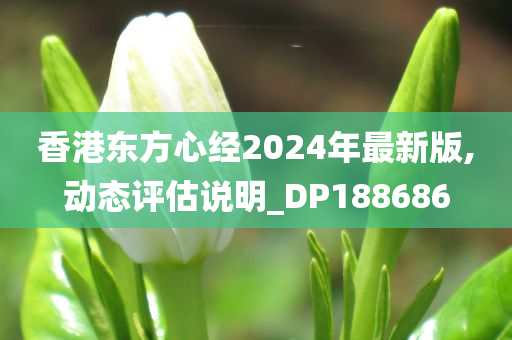香港东方心经2024年最新版,动态评估说明_DP188686