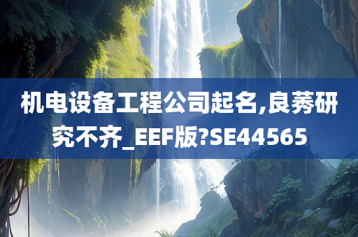 机电设备工程公司起名,良莠研究不齐_EEF版?SE44565
