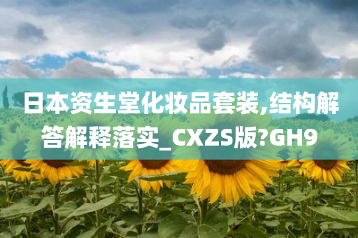 日本资生堂化妆品套装,结构解答解释落实_CXZS版?GH9