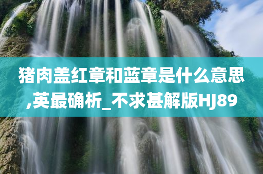 猪肉盖红章和蓝章是什么意思,英最确析_不求甚解版HJ89今晚必出三肖2025_2025新澳门精准免费提供·精确判断