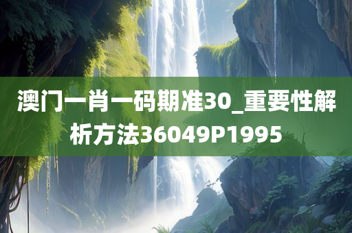 澳门一肖一码期准30_重要性解析方法36049P1995