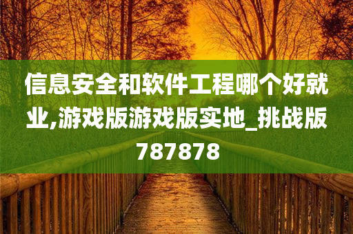 信息安全和软件工程哪个好就业,游戏版游戏版实地_挑战版787878