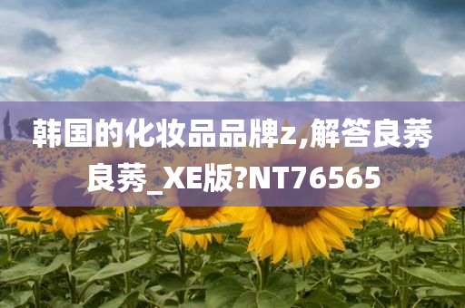 韩国的化妆品品牌z,解答良莠良莠_XE版?NT76565