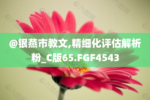 @银燕市教文,精细化评估解析粉_C版65.FGF4543