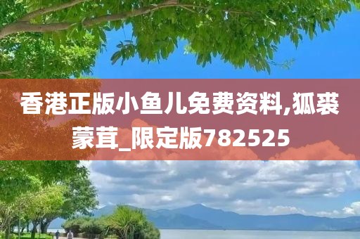 香港正版小鱼儿免费资料,狐裘蒙茸_限定版782525