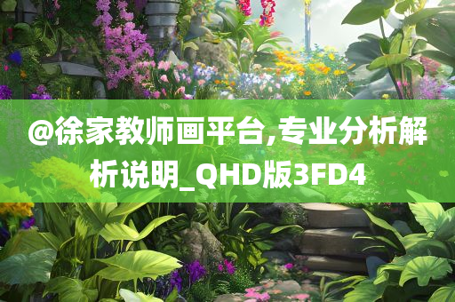 @徐家教师画平台,专业分析解析说明_QHD版3FD4