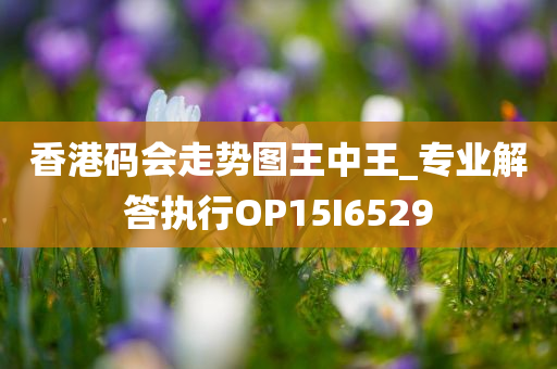 zhangyanan 第52页