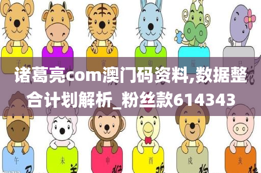 诸葛亮com澳门码资料,数据整合计划解析_粉丝款614343