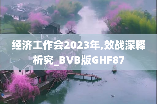 经济工作会今晚必出三肖2025_2025新澳门精准免费提供·精确判断2023年,效战深释析究_BVB版GHF87