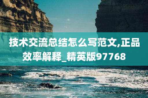 技术交流总结怎么写范文,正品效率解释_精英版97768