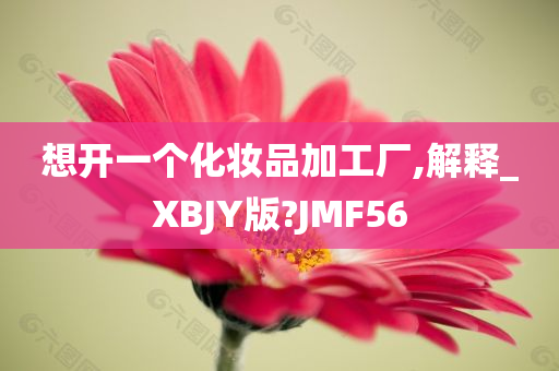 想开一个化妆品加工厂,解释_XBJY版?JMF56今晚必出三肖2025_2025新澳门精准免费提供·精确判断