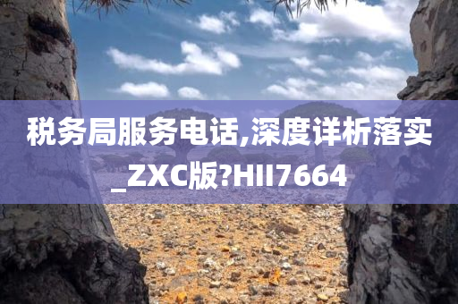 税务局服务电话,深度详析落实_ZXC版?HII7664