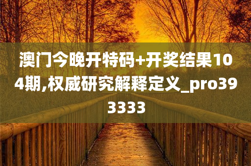 澳门今晚开特码+开奖结果104期,权威研究解释定义_pro393333