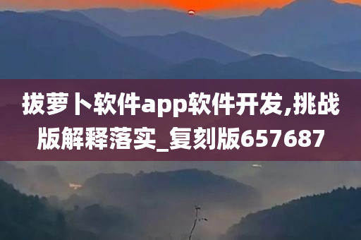 拔萝卜软件app软件开发,挑战版解释落实_复刻版657687