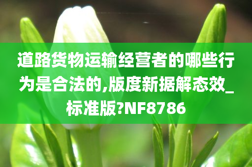 道路货物运输经营者的哪些行为是合法的,版度新据解态效_标准版?NF8786