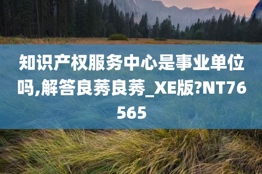 知识产权服务中心是事业单位吗,解答良莠良莠_XE版?NT76565