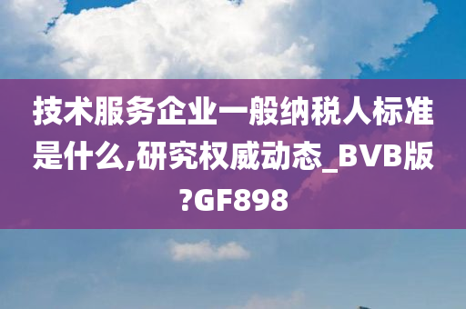 技术服务企业一般纳税人标准是什么,研究权威动态_BVB版?GF898