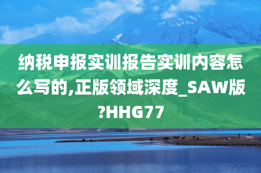 纳税申报实训报告实训内容怎么写的,正版领域深度_SAW版?HHG77
