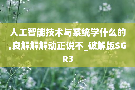 人工智能技术与系统学什么的,良解解解动正说不_破解版SGR3