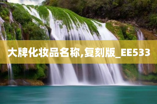 大牌化妆品名称,复刻版_EE533