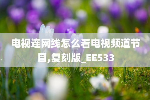 电视连网线怎么看电视频道节目,复刻版_EE533