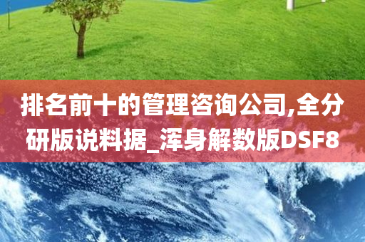 排名前十的管理咨询公司,全分研版说料据_浑身解数版DSF8