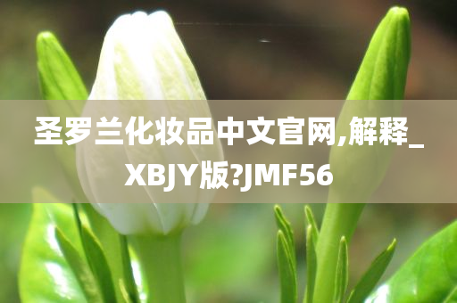 圣罗兰化妆品中文官网,解释_XBJY版?JMF56