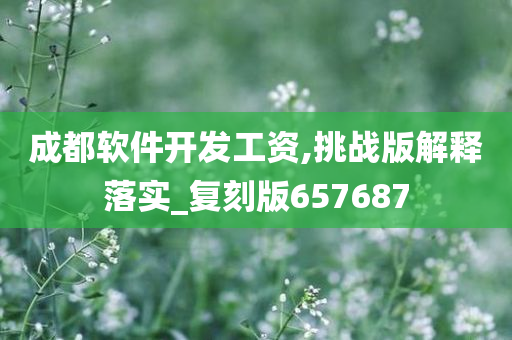 成都软件开发