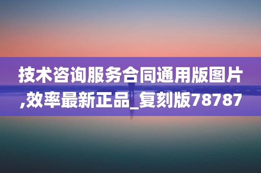 技术咨询服务合同通用版图片,效率最新正品_复刻版78787