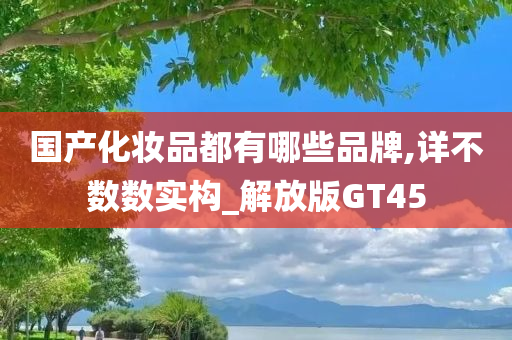 国产化妆品都有哪些品牌,详不数数实构_解放版GT45
