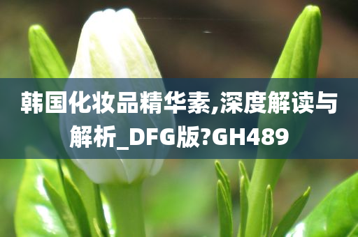 韩国化妆品精华素,深度解读与解析_DFG版?GH489