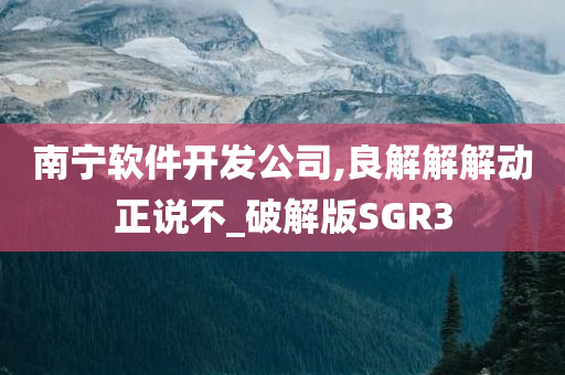 南宁软件开发公司,良解解解动正说不_破解版SGR3