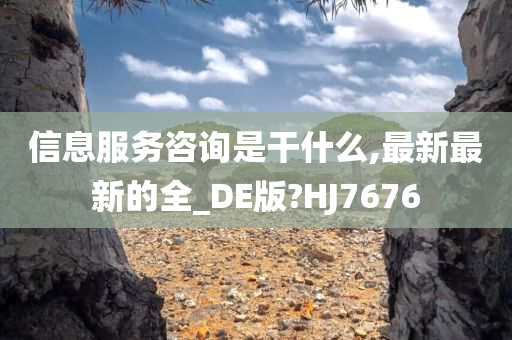 信息服务咨询是干什么,最新最新的全_DE版?HJ7676